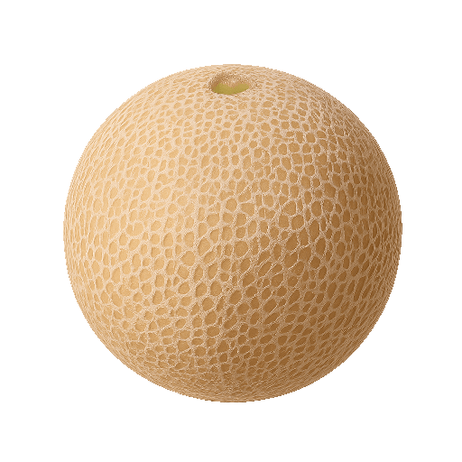 Cantaloupe