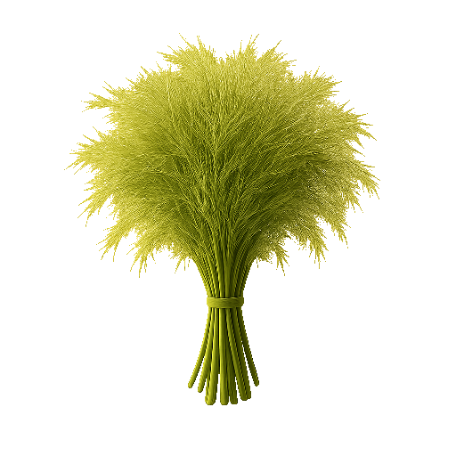 Fresh dill